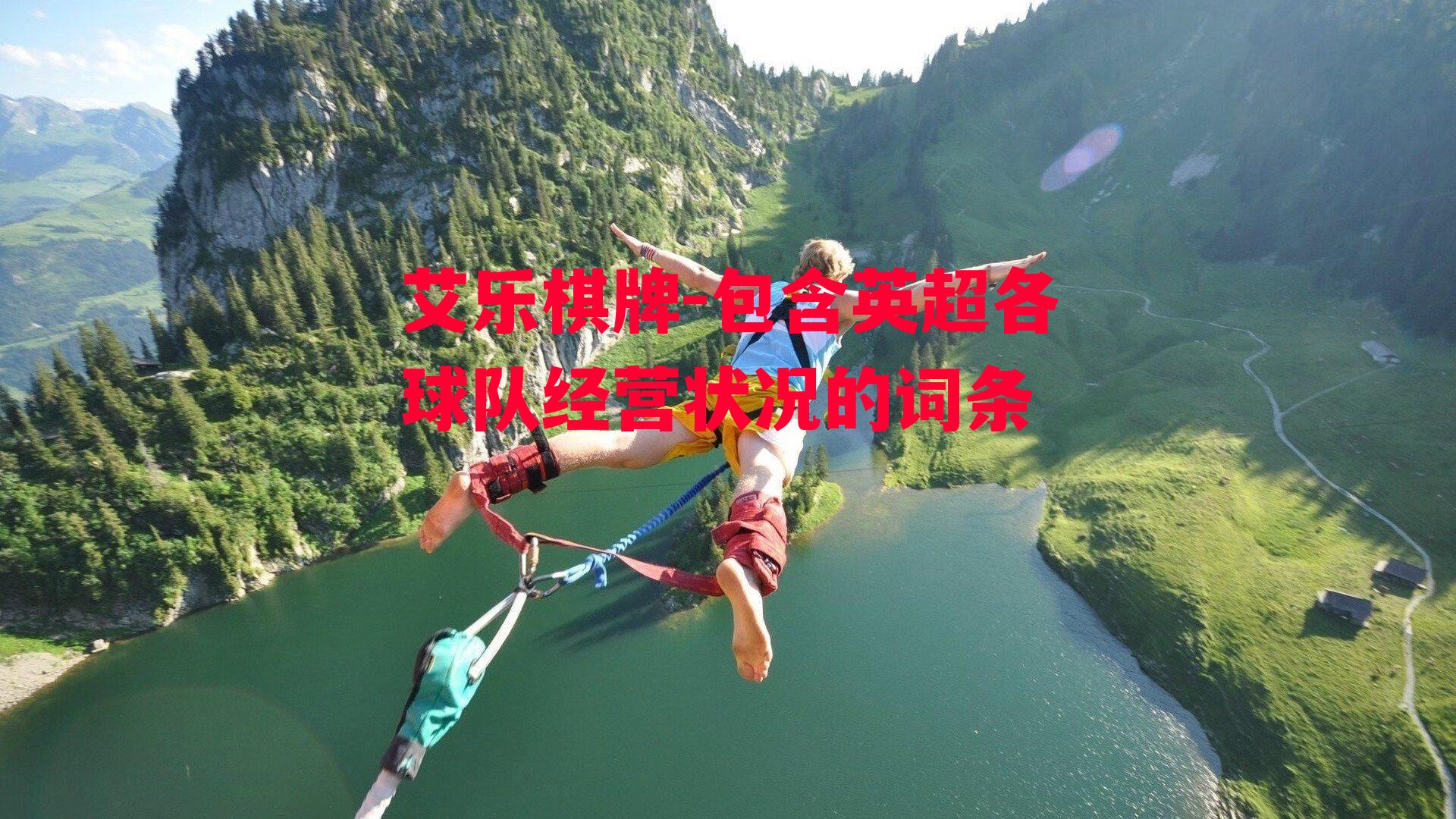 包含英超各球队经营状况的词条